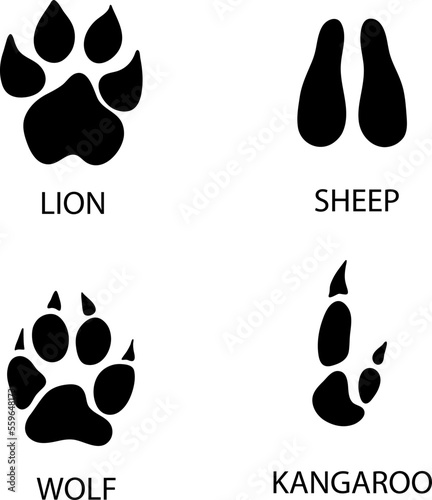 Different footprints of wolf kangaroo, lion, sheep paws illustration..eps