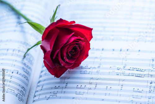 楽譜の上の赤いバラ