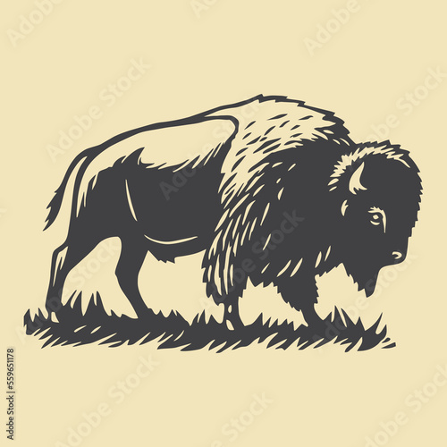 full body bison animal vector 