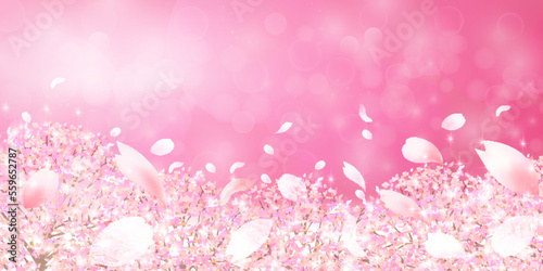 桜　春　風景　背景