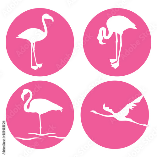 flamingo icon vector