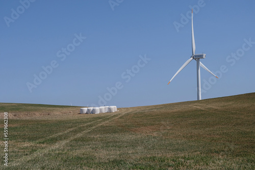 wind turbine in the field