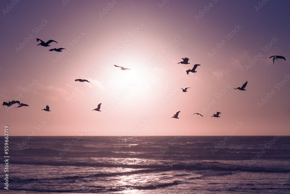 Pink sunset over the ocean, and silhouette of flying birds. Beautiful abstract scene in light purple-pink colors
