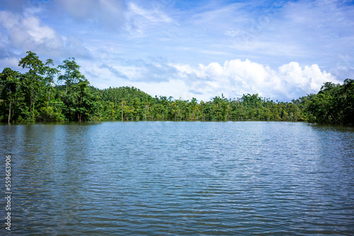 Blue lake with trees in the background and blue sky. Nature background with a forest behind the lake.