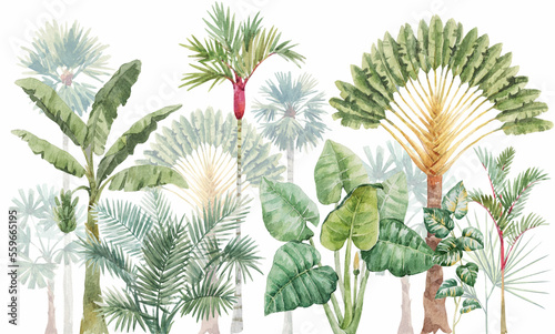 Fototapeta Naklejka Na Ścianę i Meble -  Beautiful stock clip art illustration with watercolor hand drawn tropical palm trees.