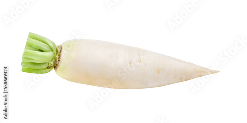fresh white radish on transparent png photo