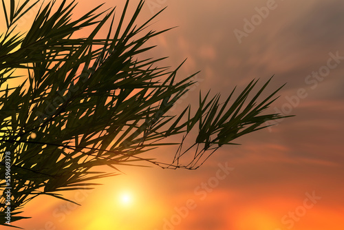 silhouette of bamboo branch on sky background at rising sun