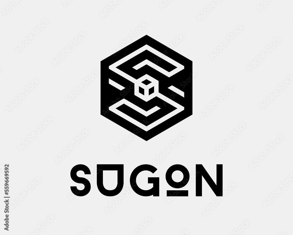 Letter S Hexagon Cube Block Box Frame Border Emblem Label Badge Geometric Modern Vector Logo Design
