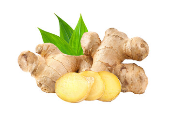 ginger on transparent png