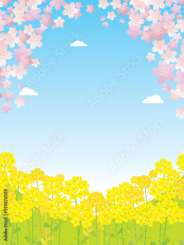 春の桜と菜の花の風景イラスト © Third Stone
