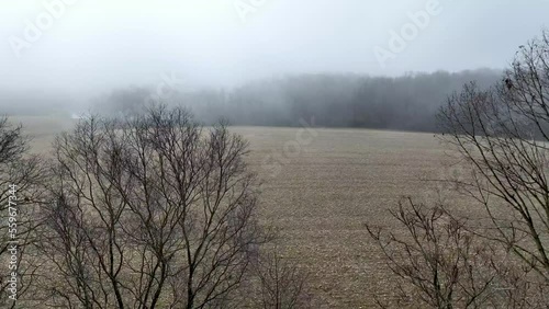 aerial in fog in farm field over treetops in yadkin county nc, north carolina in winter photo