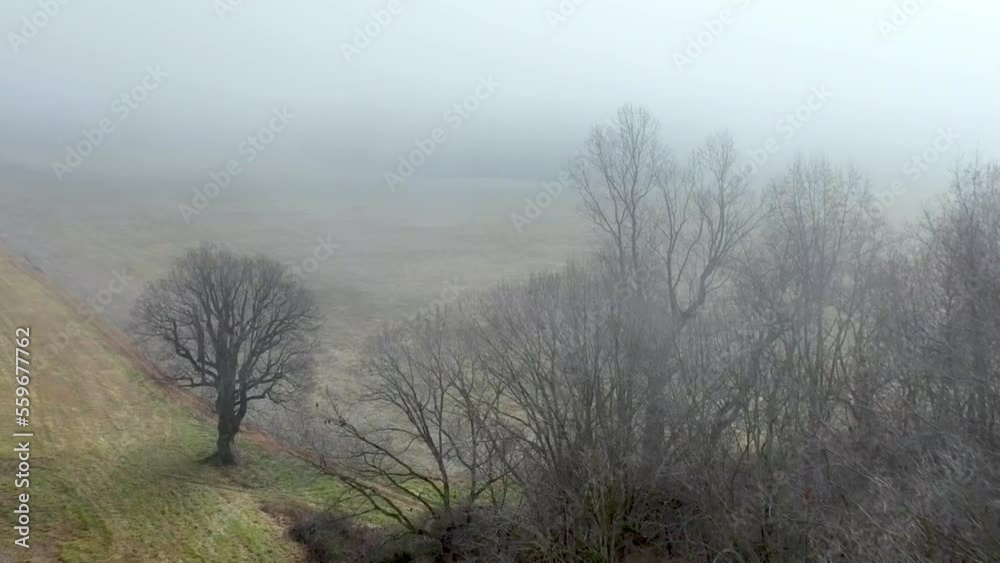 aerial fog hangs over winter field in yadkin county nc, north carolina aerial fog hangs over winter field in yadkin county nc, north carolina