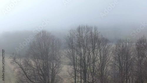 aerial winter and fog over treetops in field in yadkin county nc, north carolina photo