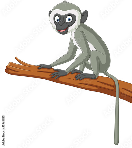 Cute langur monkey cartoon on tree branch photo