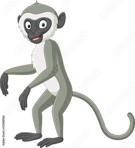 Cute grey langur monkey cartoon