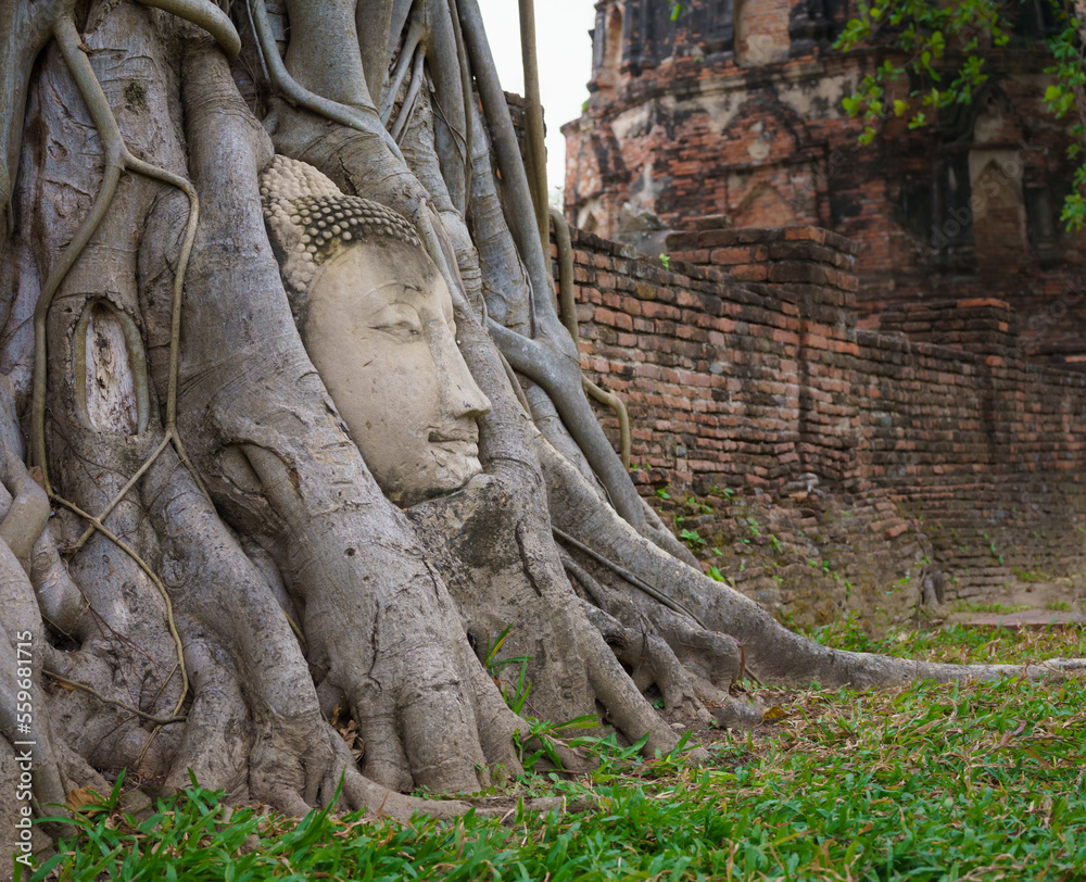 Famous Buddha's head buried in the tree located in War Mahatat
