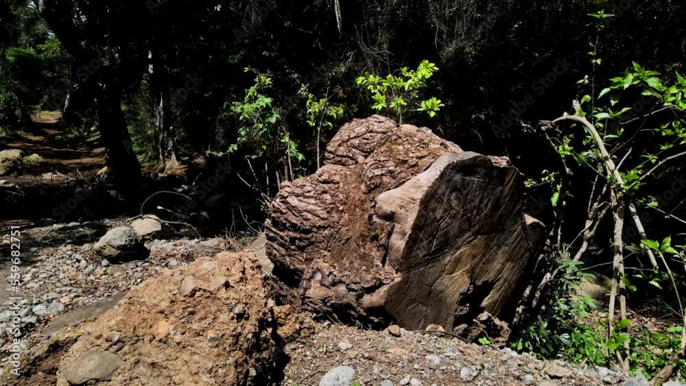 Panoramic closeview of the rock wall structure - surface pattern decorative sedimentation rock- Rock structure. Rock bed. Panoramic closeview of the rock wall structure - surface pattern decorative sedimentation rock- Rock structure. Rock bed.