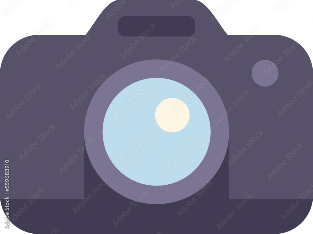 Camera icon flat vector. Computer interface. Smile system isolated - obrazy, fototapety, plakaty 