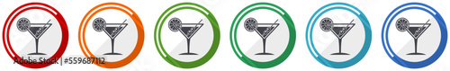 Tropical drink, alcohol, bar, martini in glass icon set, flat design vector illustration in 6 colors options for webdesign and mobile applications