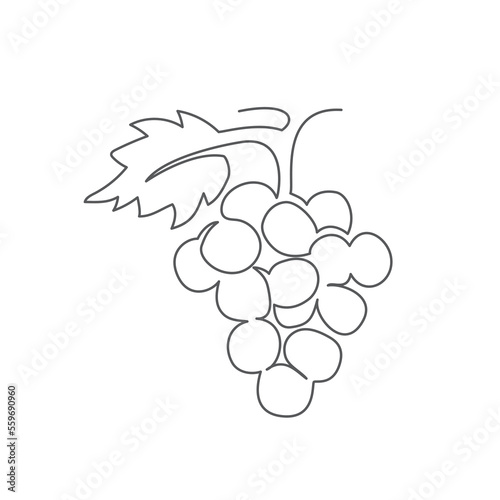 Grape One line drawing on white background
