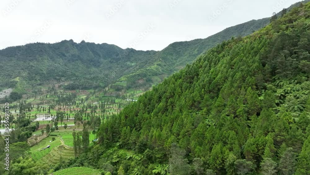 Aerial view of terraced vegetable plantation on Tambi hill beside Mount Sindoro, Wonosobo, Central Java, Indonesia Aerial view of terraced vegetable plantation on Tambi hill beside Mount Sindoro, Wonosobo, Central Java, Indonesia