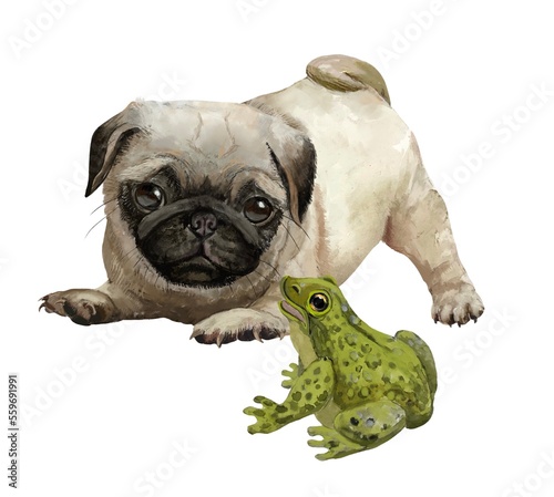 Bild auf Leinwand english bulldog puppy,Pug with a frog.