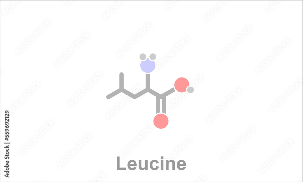 Simplified formula icon of leucine. Simplified formula icon of leucine.