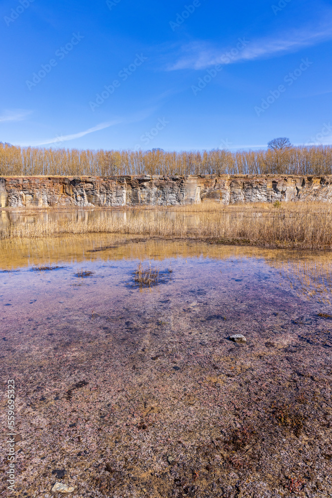 Water in an old limestone quarry at spring