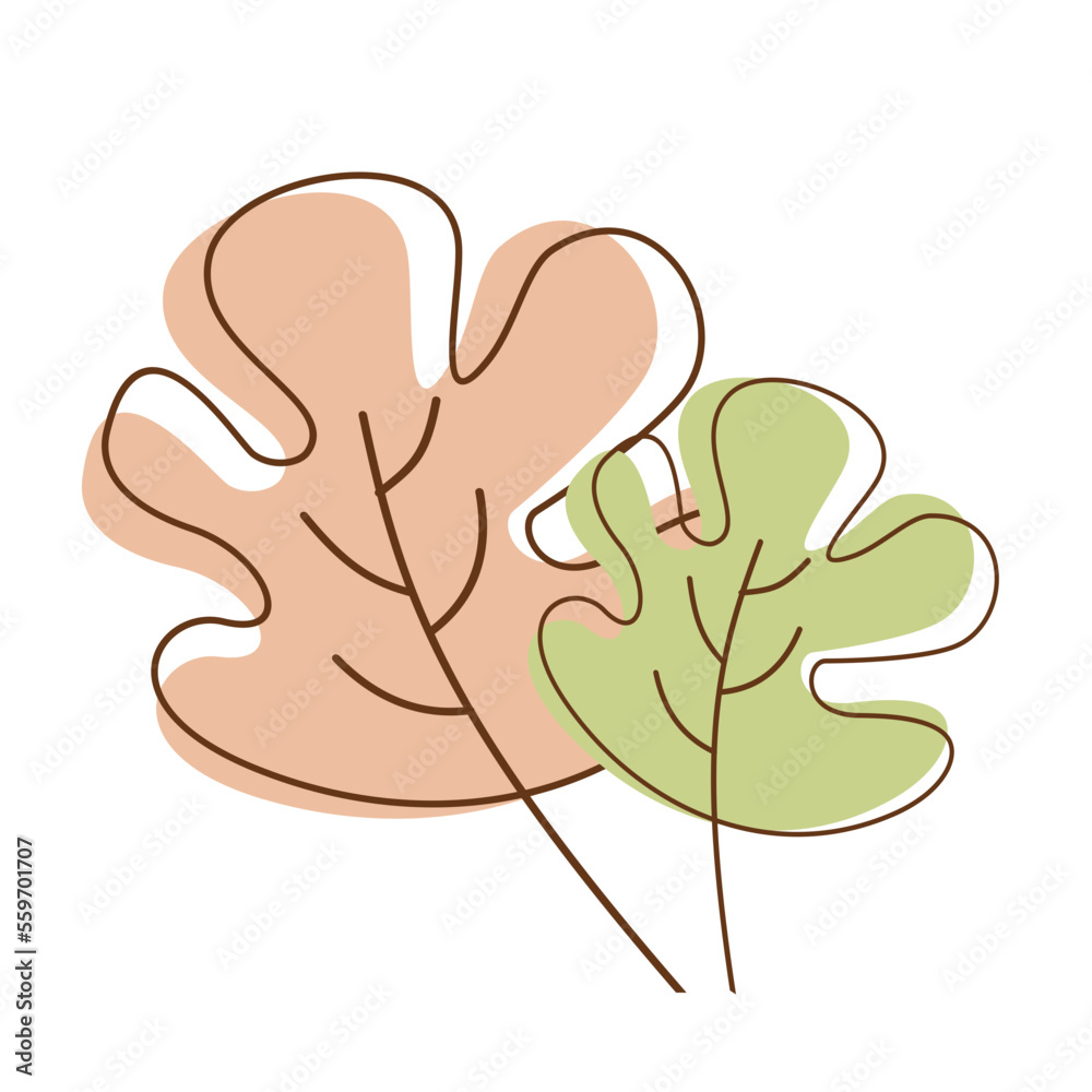Aesthetic Flat Leaf Flower Aesthetic Flat Leaf Flower