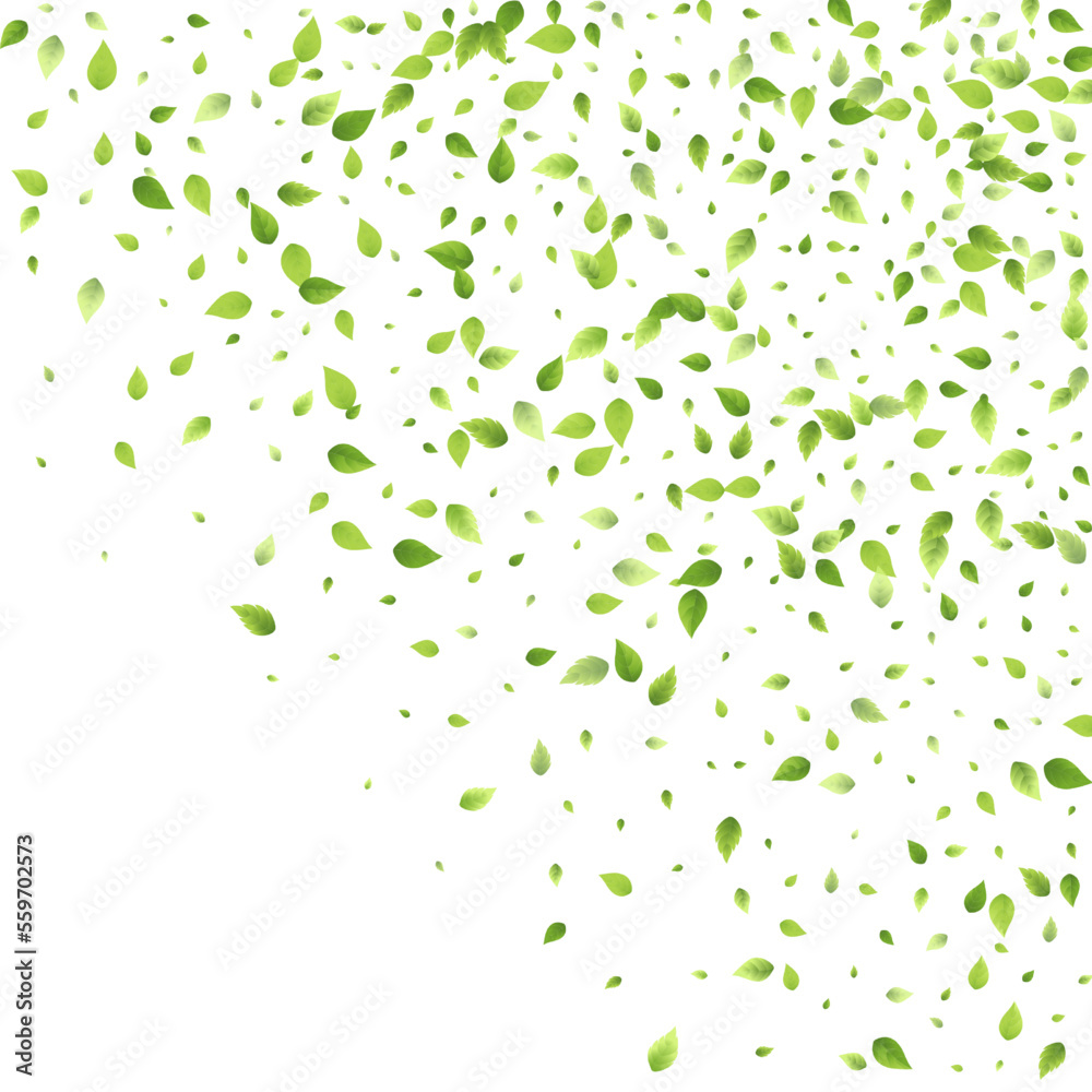 Leaves Green Falling Flying Foliage Leaf Tea Mint Leaves Green Falling Flying Foliage Leaf Tea Mint