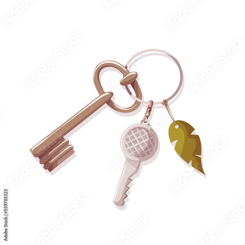 Keys on the white background. Isolated vector illustration for card, postcard, poster, banner.