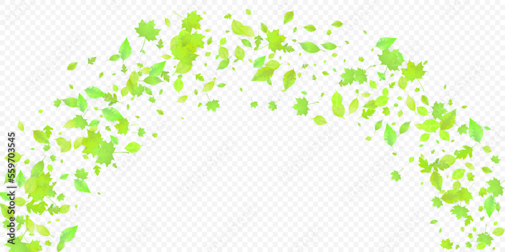 Leaves Falling Spring Flying Foliage Green Leaf Leaves Falling Spring Flying Foliage Green Leaf