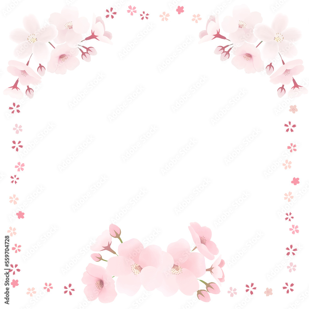 桜の花束　シンプルな四角枠　透過