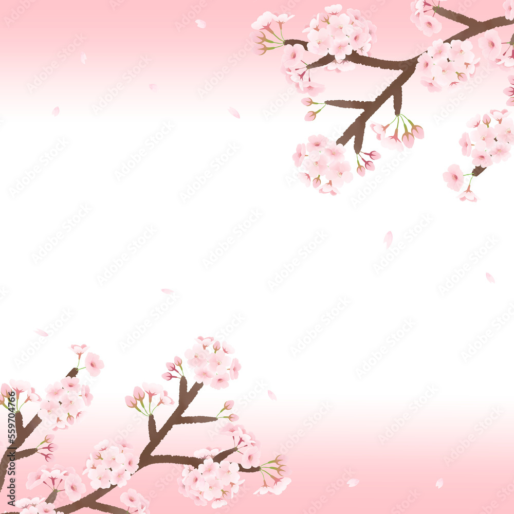 Naklejka premium 桜の花吹雪の背景素材 透過