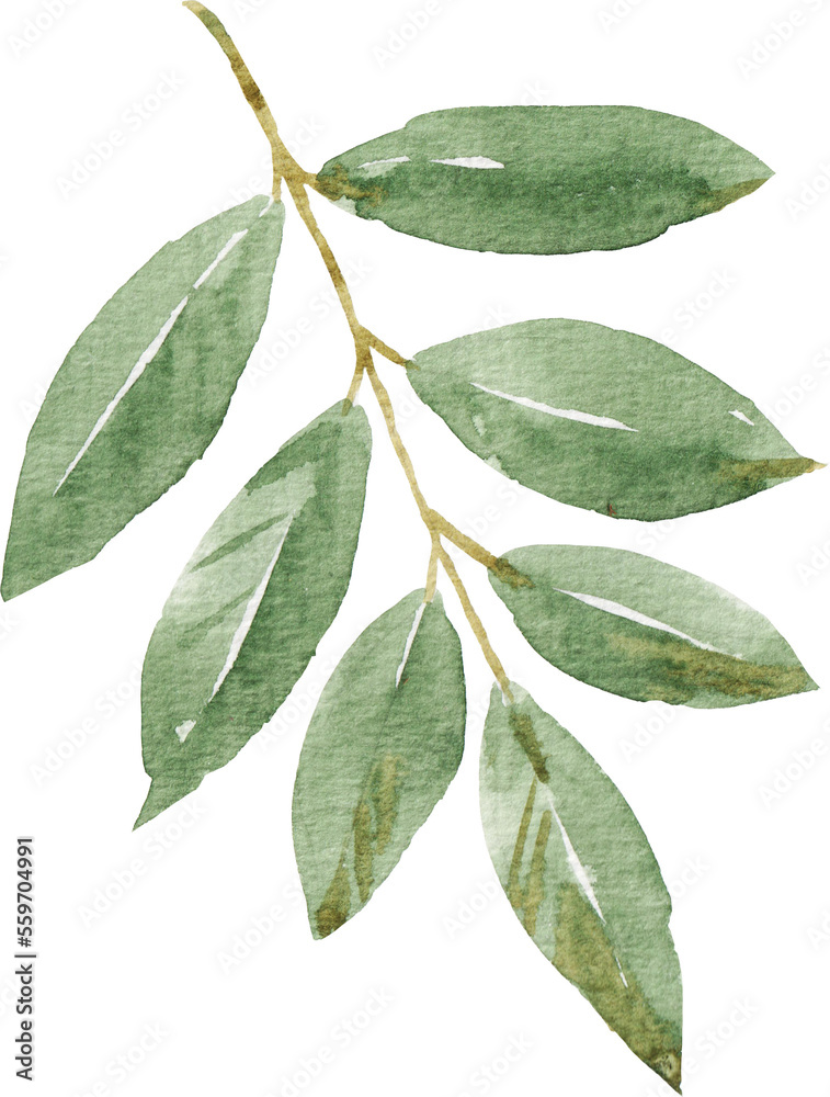 Green leaf PNG illustration Green leaf PNG illustration