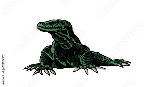 Graphical green varan isolated on white background  lizard color illustration