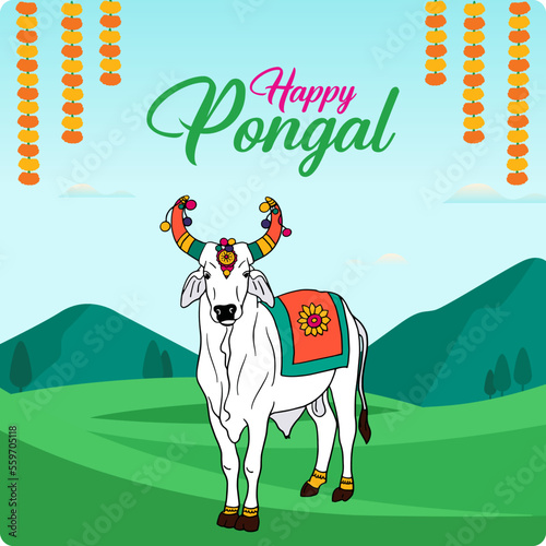 Happy Pongal, Mattu Pongal. Indian decorated ox for South Indian harvesting festival background.