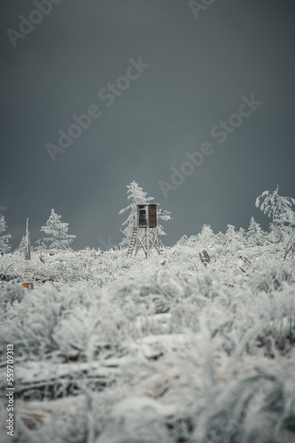 Winterwald © Andreas