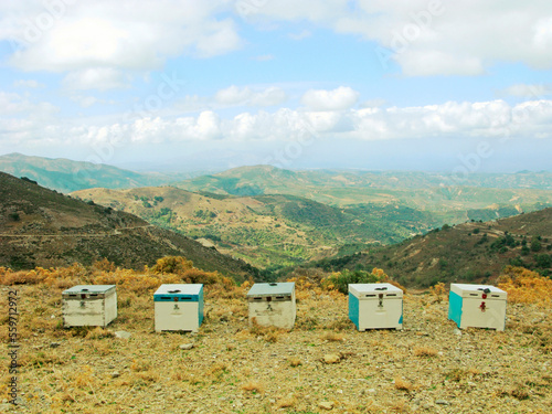 Apiary high in the mountains
