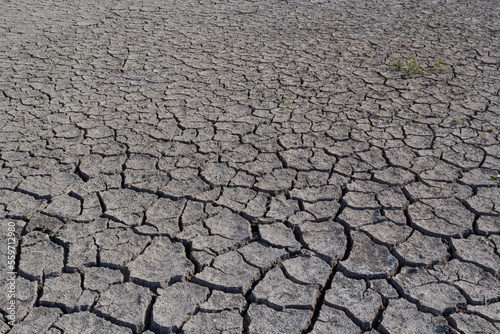 The ground has cracks in the top view for the background or graphic design with the concept of drought and death
