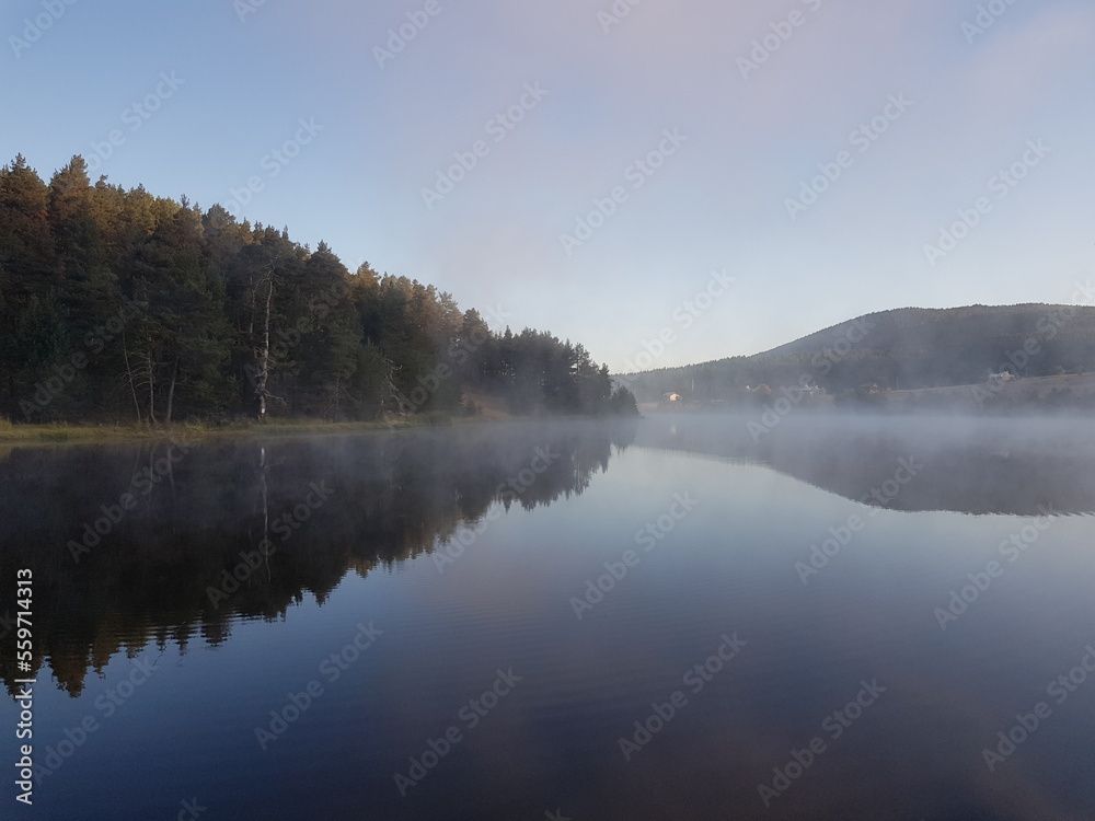 Fototapeta premium forest, lake, fog