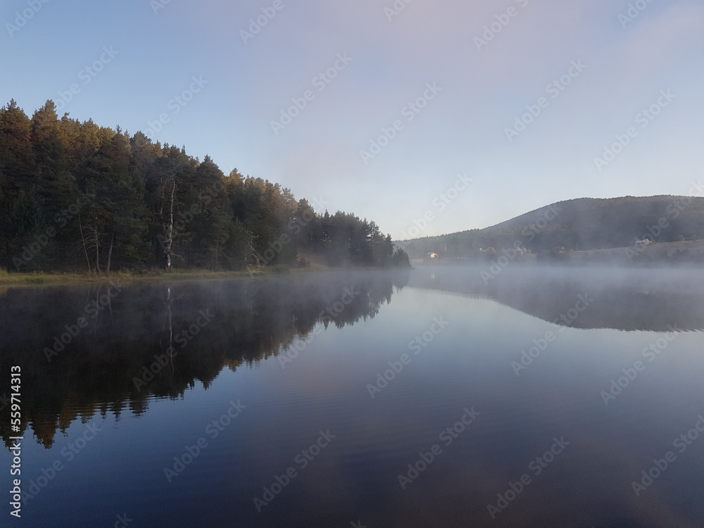  forest, lake, fog