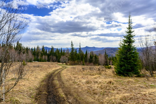 South Ural forest road with a unique landscape  vegetation and diversity of nature.