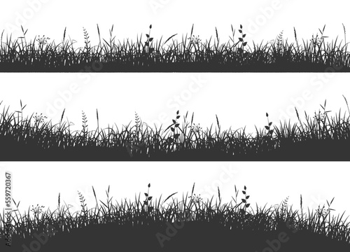 Grass meadow. Grass on uneven ground.