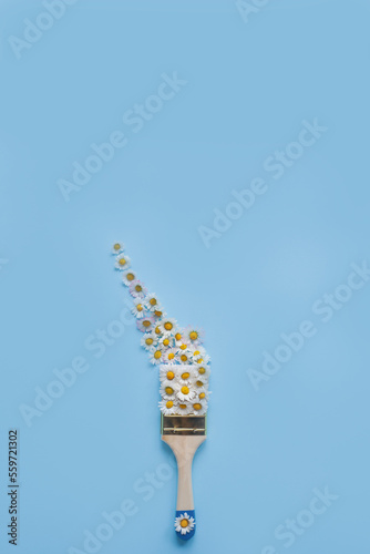 Creative layout of white flowers and paint brush on light blue backround