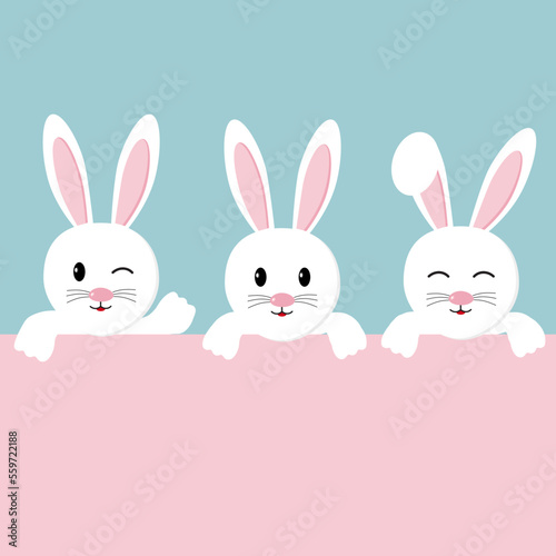 White rabbits with different facial expression. Hare. Color background. Vector illustration
