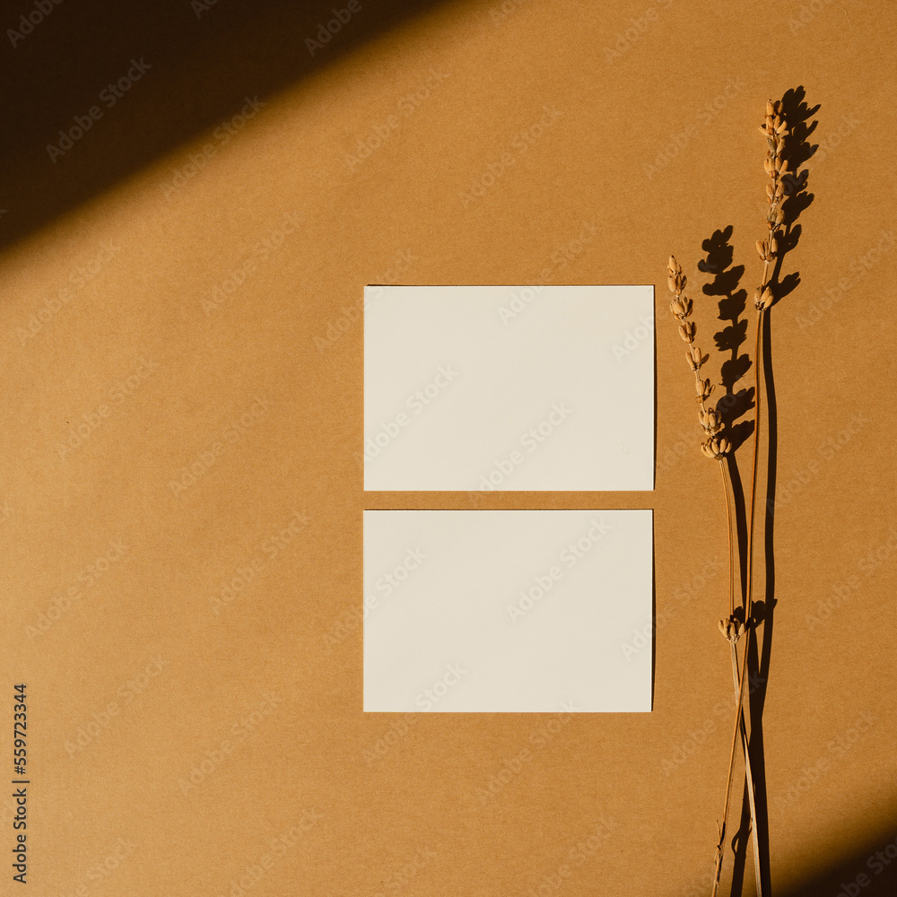 Blank paper sheet card with mockup copy space on ginger background with sunlight shadows silhouette. Aesthetic bohemian minimal business brand template. Flat lay, top view Blank paper sheet card with mockup copy space on ginger background with sunlight shadows silhouette. Aesthetic bohemian minimal business brand template. Flat lay, top view