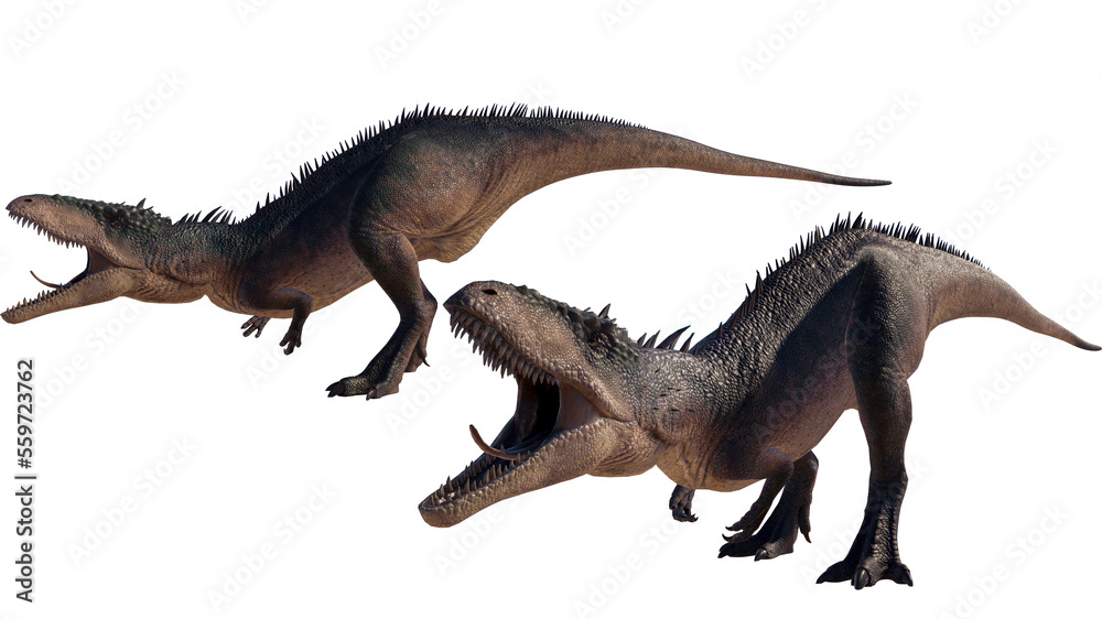 Carcharodontosaurus dinosaur isolated on blank background PNG ultra high resolution Carcharodontosaurus dinosaur isolated on blank background PNG ultra high resolution