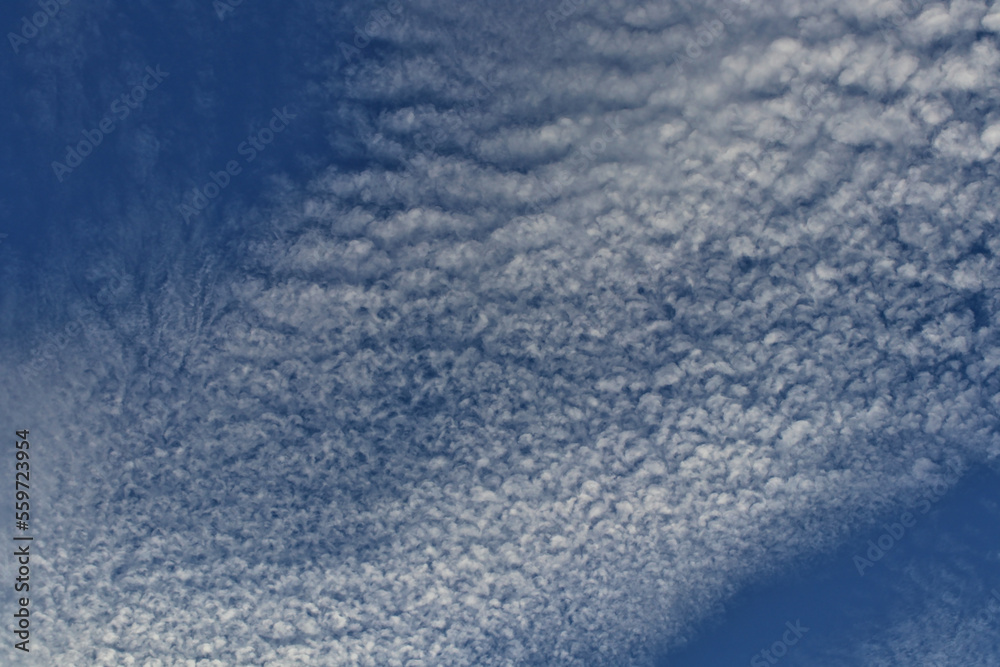 Cotton-like clouds spread across the sky on a clear day. Cotton-like clouds spread across the sky on a clear day.
