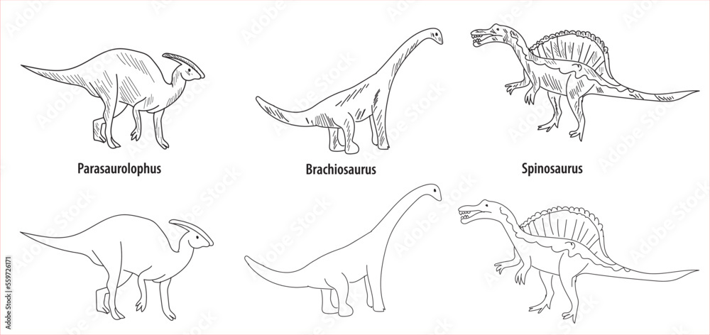 Fototapeta premium line and hatch drawing 6 dinosaur drawings vector illustration. parasaurolophus, brachiosaurus, spinosaurus, dicraeosaurus, acanthopholis, stegosaurus